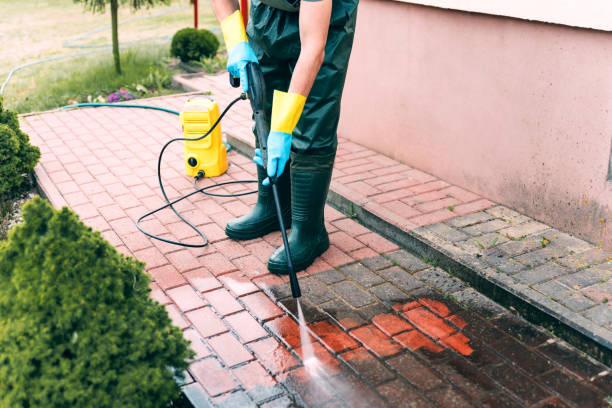 Best Graffiti Removal  in Romulus, MI