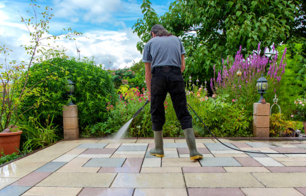 Best Animal Enclosure Cleaning  in Romulus, MI
