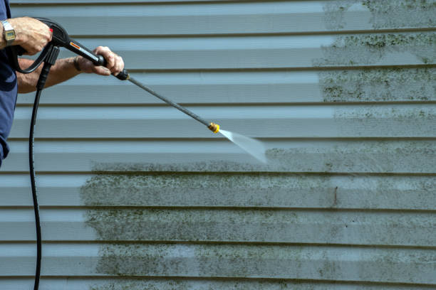 Best Rust Removal  in Romulus, MI