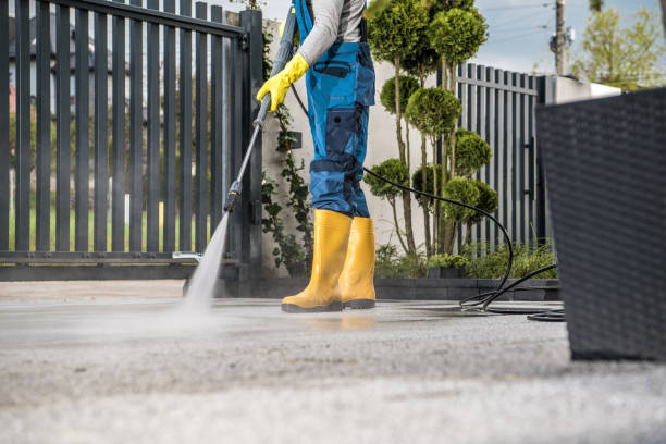 Best Concrete Sealing  in Romulus, MI