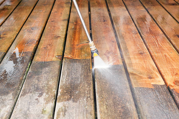 Best Gutter Cleaning  in Romulus, MI